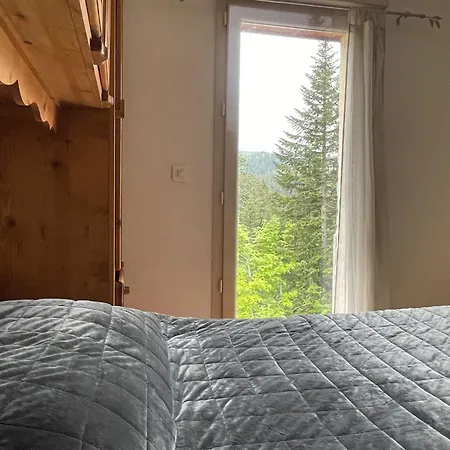 Daire Rocher Du Cerf Skis Aux Pieds 3 Ch 2 Sdb Le Lioran