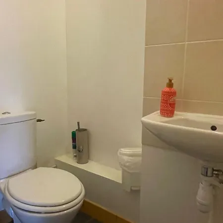 Rocher Du Cerf Skis Aux Pieds 3 Ch 2 Sdb * Le Lioran