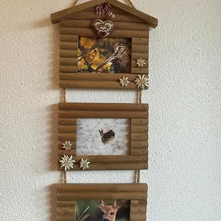 Rocher Du Cerf Skis Aux Pieds 3 Ch 2 Sdb Daire