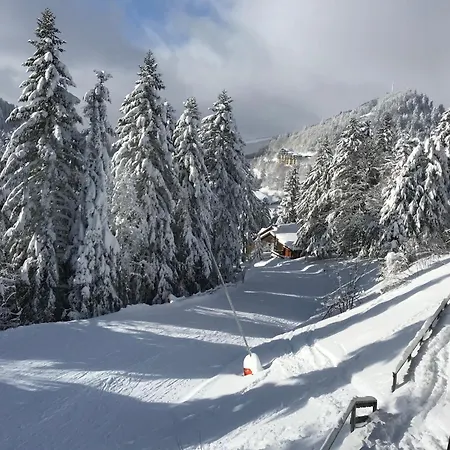 Rocher Du Cerf Skis Aux Pieds 3 Ch 2 Sdb *